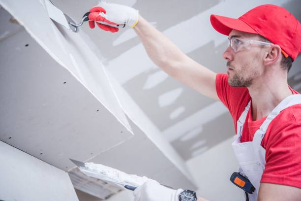 Professional Dry wall and painting in Glenn Heights, TX